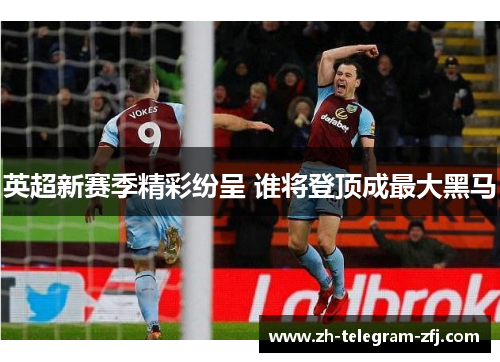 英超新赛季精彩纷呈 谁将登顶成最大黑马 英超新赛季精彩纷呈 谁将登顶成最大黑马